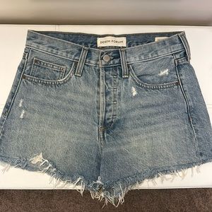 Aritzia Denim Forum Ex Boyfriend Short